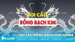 Lợi ích và mẹo soi cầu rồng bạch kim chi tiết nhất cho tân thủ