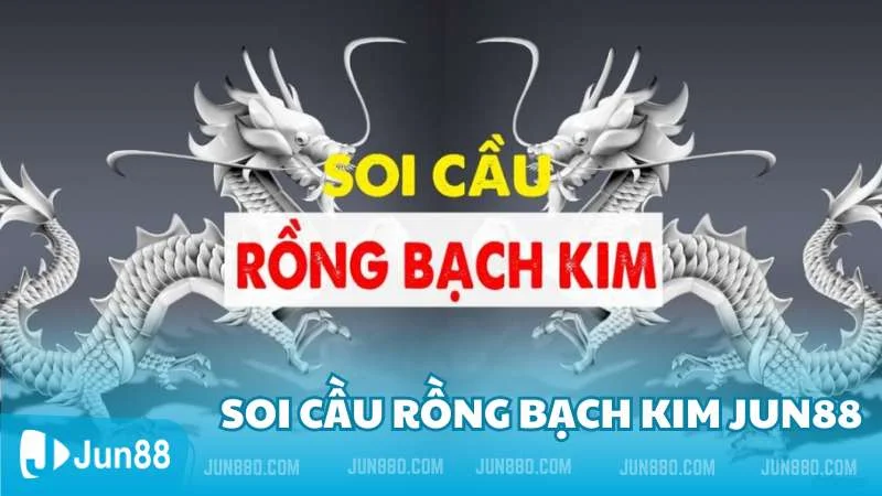 Lợi ích và mẹo soi cầu rồng bạch kim chi tiết nhất cho tân thủ