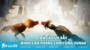 đá gà cựa sắt