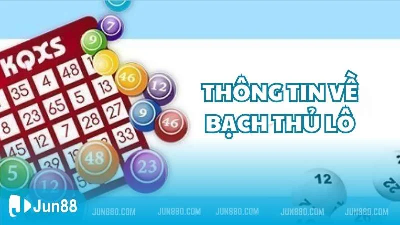 Tìm hiểu thông tin về bạch thủ lô