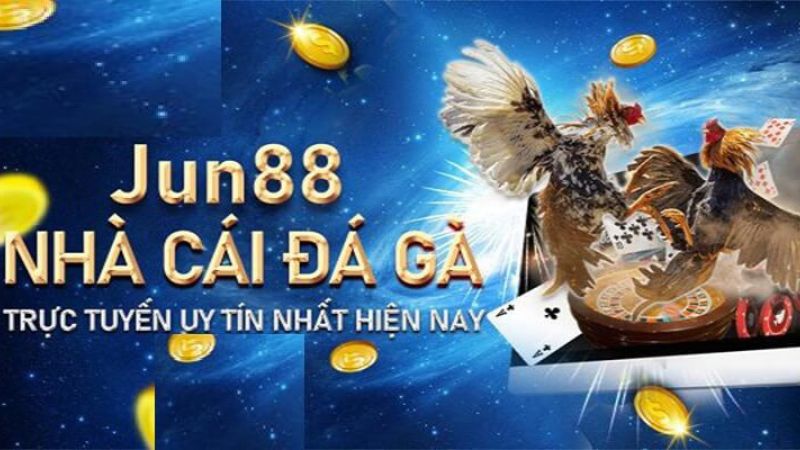 Một vài điều về bảo hiểm thua đá gà Jun88