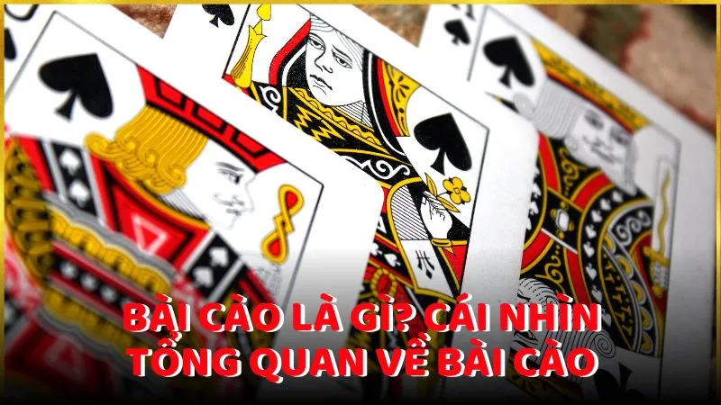 Bài cào là gì? Cái nhìn tổng quan về bài cào