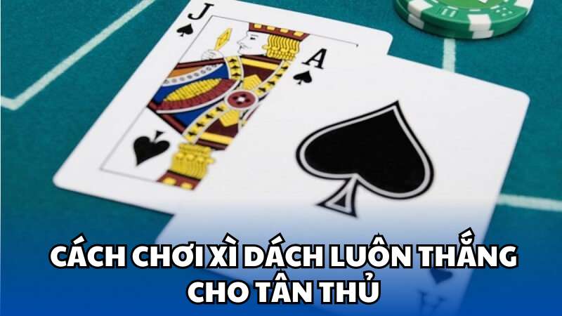 Cách chơi xì dách luôn thắng cho tân thủ